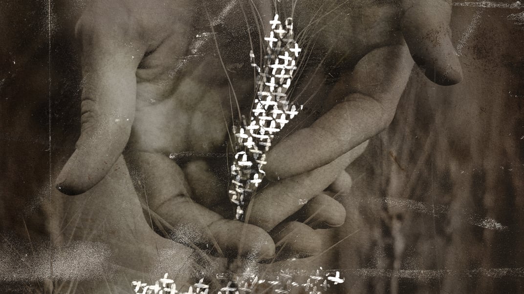 Мамо, дайте хлібчика: три голоди баби Ганни