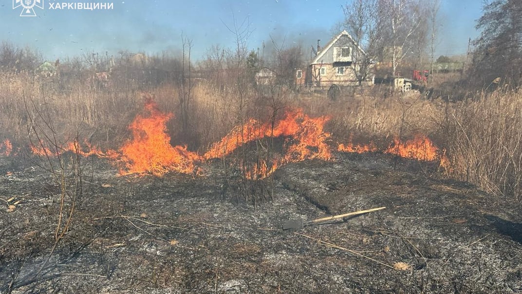 Пожежа в селі Новопокровка на Харківщині, яку спричинила жінка, що підпалювала сухостій