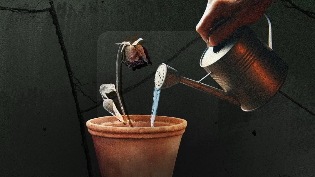 «Я достатньо доросла, щоб витримати твоє горе». Як працюють доули смерті в Україні