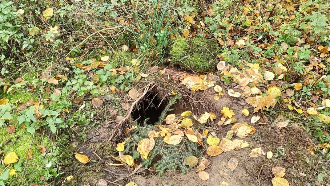 Тунель під парканом на польсько-білоруському кордоні Тунель під парканом на польсько-білоруському кордоні