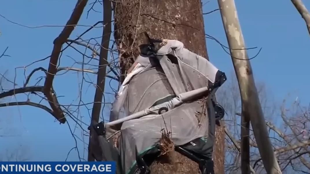 Манеж намотало на дерево во время непогоды