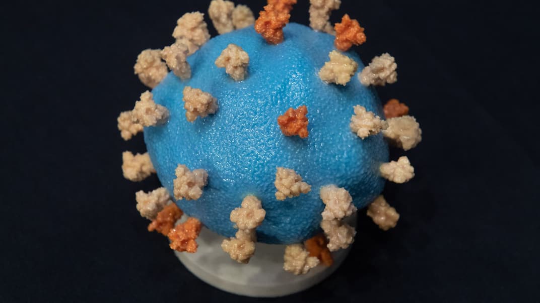 Модель COVID-19, яку показали напередодні слухання підкомітету Сенатів США щодо плану дослідження, виготовлення та розповсюдження коронавірусної вакцини.