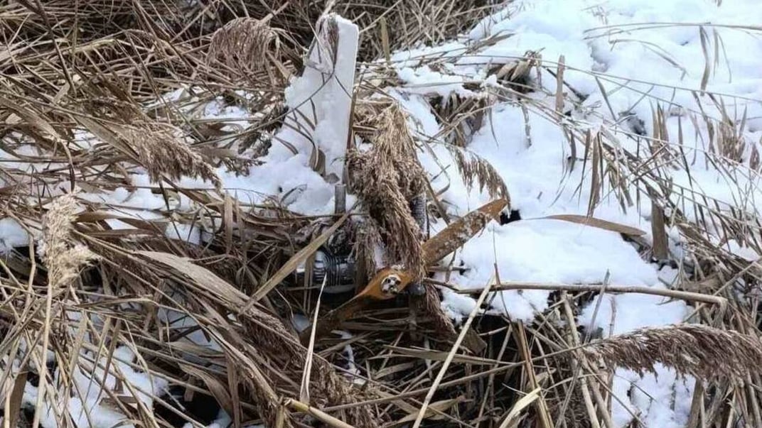 російський дрон «Гербера», знайдений 17 січня в Теленештському районі Молдови російський дрон «Гербера», знайдений 17 січня в Теленештському районі Молдови