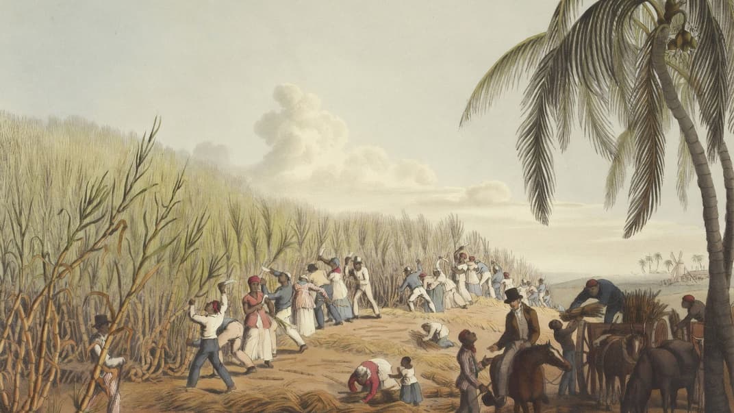 Рабы режут сахарный тростник на острове Антигуа. Рисунок 1823 года (иллюстративное изображение рабства)
