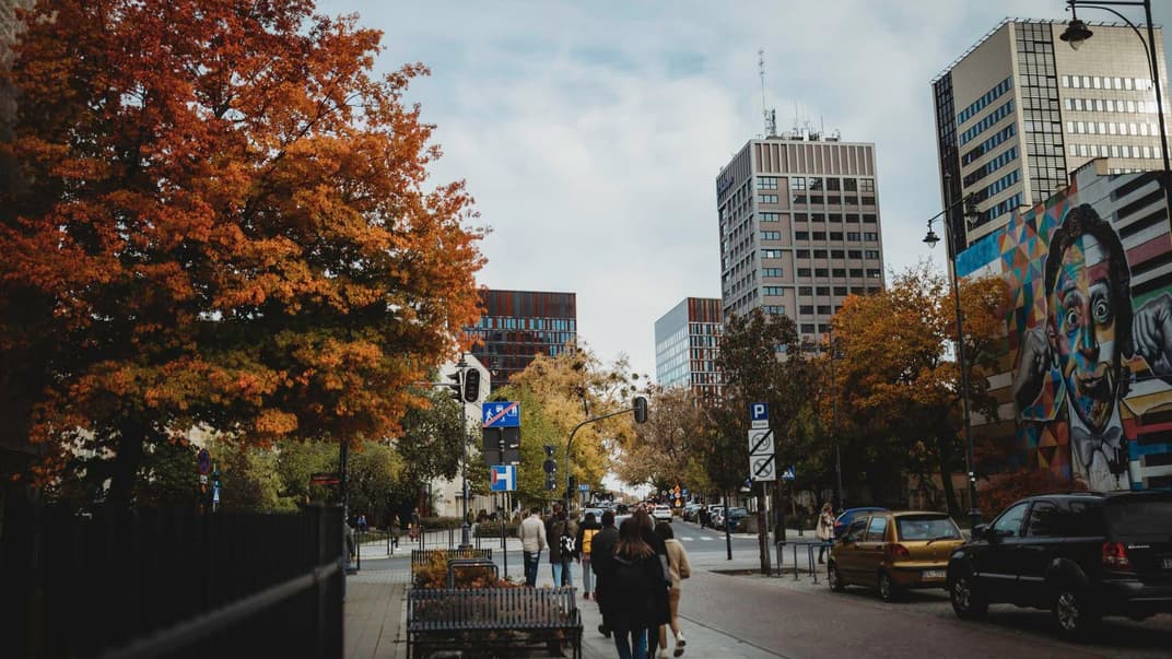 Одна з центральних вулиць Лодзі