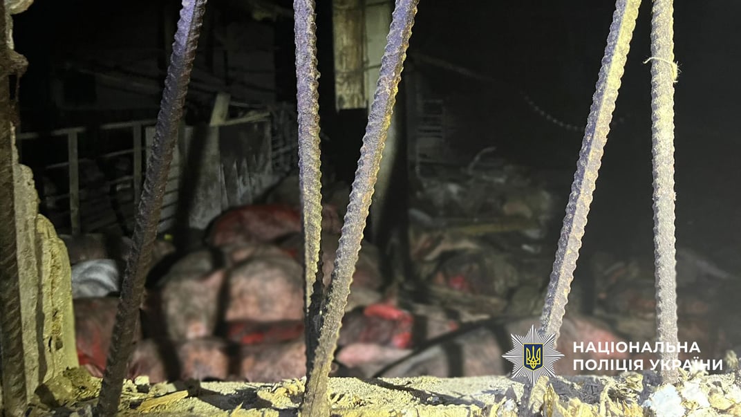 Свині, які загинули внаслідок російської атаки на Чернігівський район