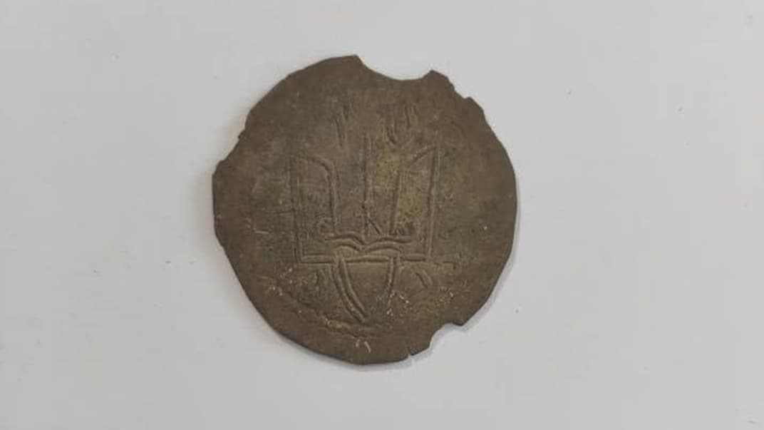 На Житомирщині вперше за понад 100 років знайшли монети Київської Русі. За «абсолютно побутових обставин»