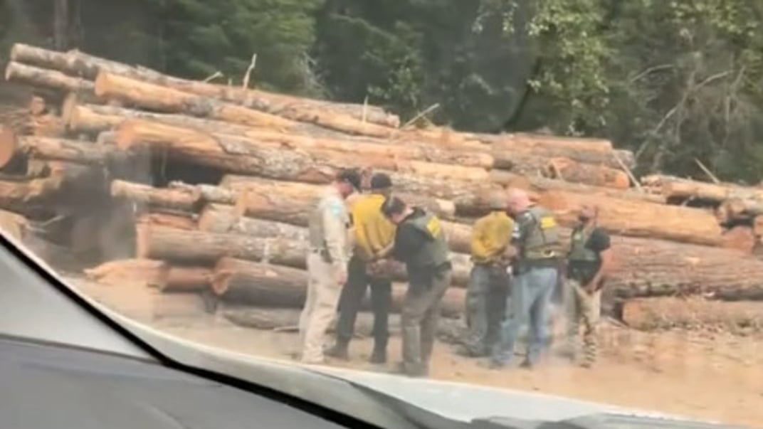 Затримання пожежників у США