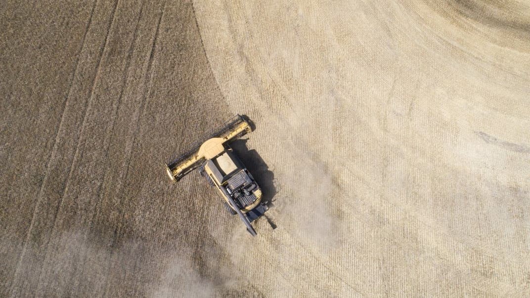 Покупать сельскохозяйственную землю смогут только граждане Украины и украинские компании