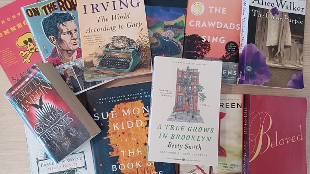 Ілюстративне фото. У 2023 році ці книги вилучили з бібліотек державних шкіл округу Орандж через побоювання, що вони порушують нові закони штату