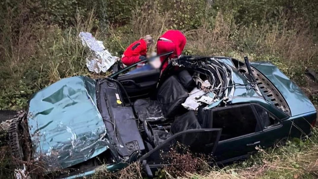 На Львівщині буйвіл спричинив смертельну ДТП