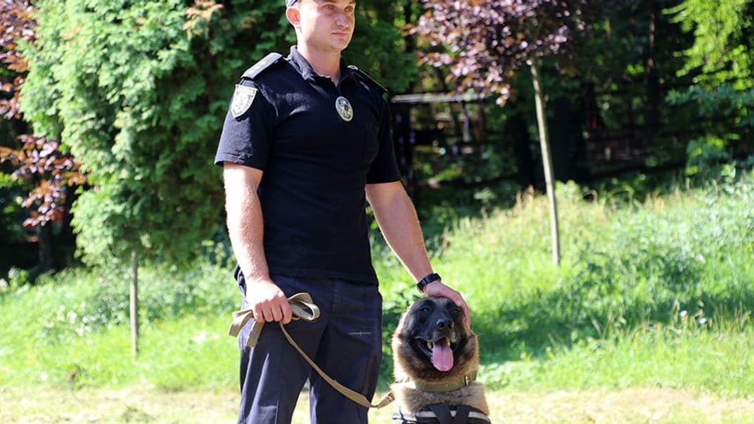 Во Львове состоялся парад собак, которые защищали Украину на Донбассе