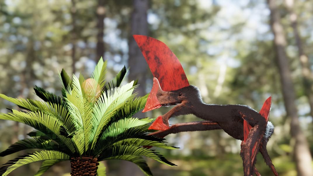 Визуализация Tupandactylus navigans