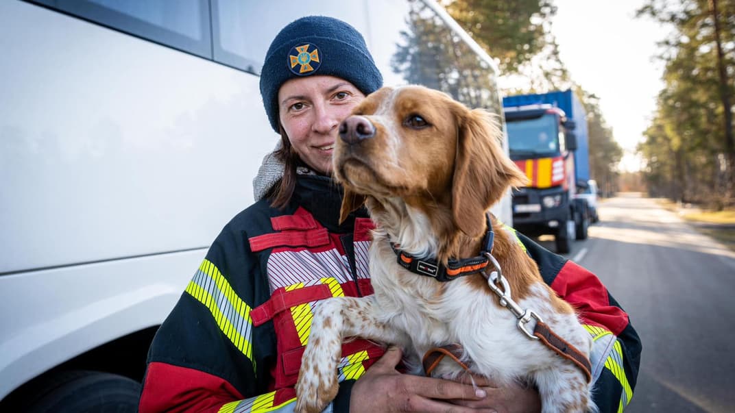 Первая группа украинских спасателей вернулась из Турции