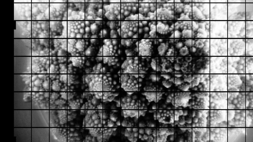 Броколі Романеско