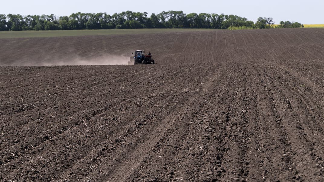 The Who, What, When, And How Much of Ukraine’s New Land Market Reform