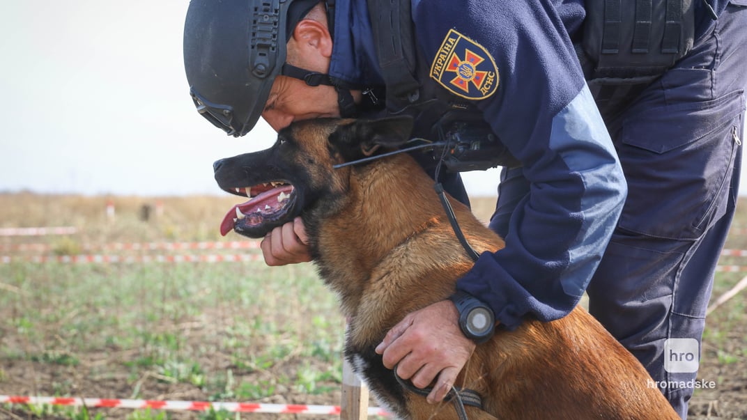 Працівник ДСНС з собакою