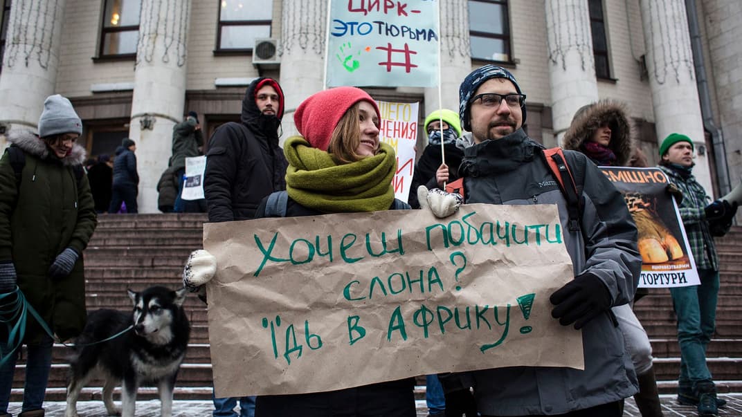 Акція «Цирк без тварин» біля Національного цирку України, Київ, 27 січня 2018 року