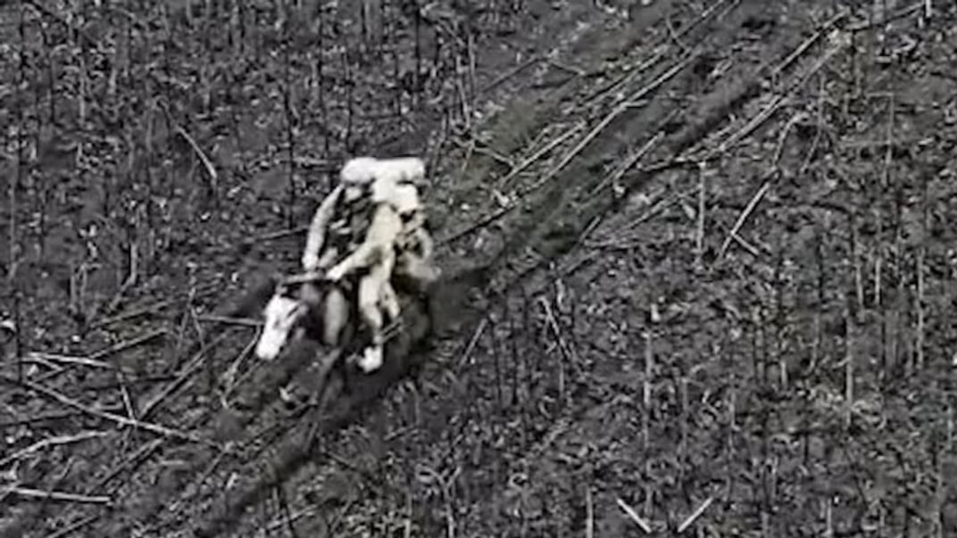 Оккупанты начали ходить в штурмы на лошадях — 92 ОШБр зафиксировала «кавалерию» (ВИДЕО)