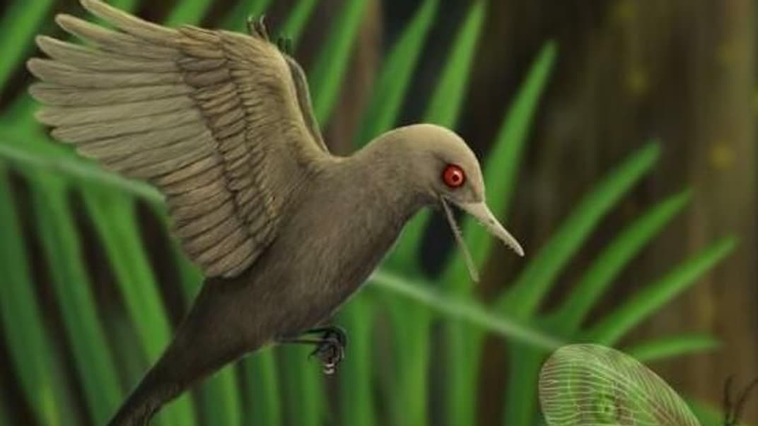 Науковці знайшли в бурштині залишки найменшого динозавра