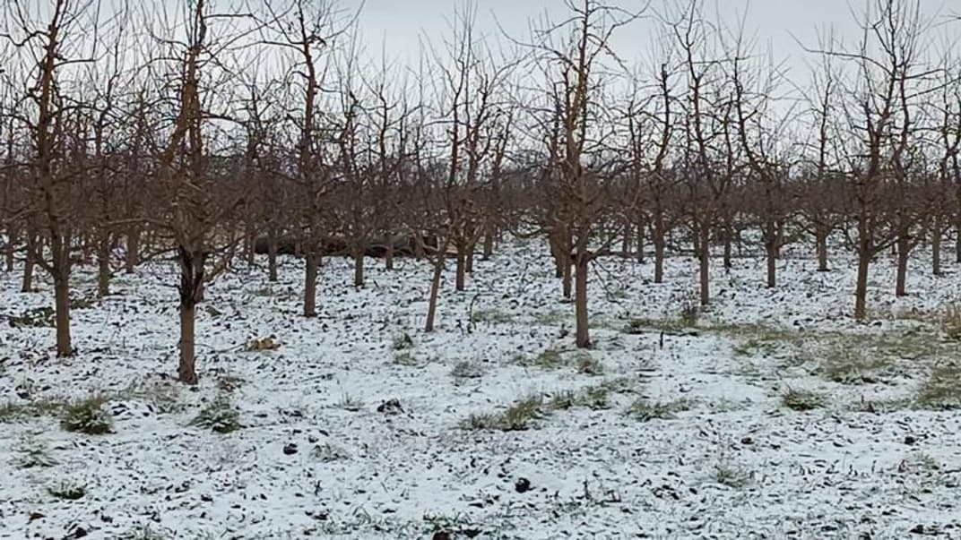 На території Молдови біля кордону знайшли ракету