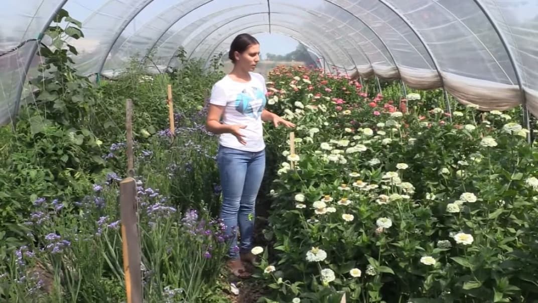 Власна справа може допомогти в кризовій ситуації