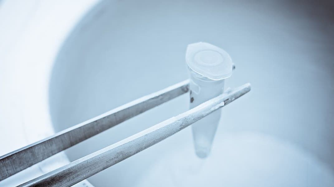 Замороження генетичного матеріалу в рідкому азоті, ілюстративне фото