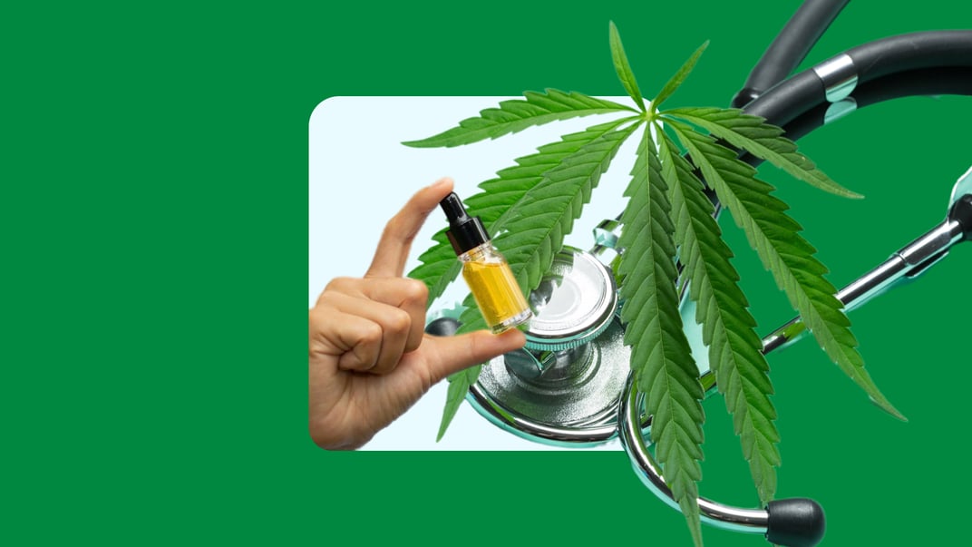 «Повний контроль: від насінини до пацієнта». Коли в аптеках зʼявляться ліки на основі медичного канабісу