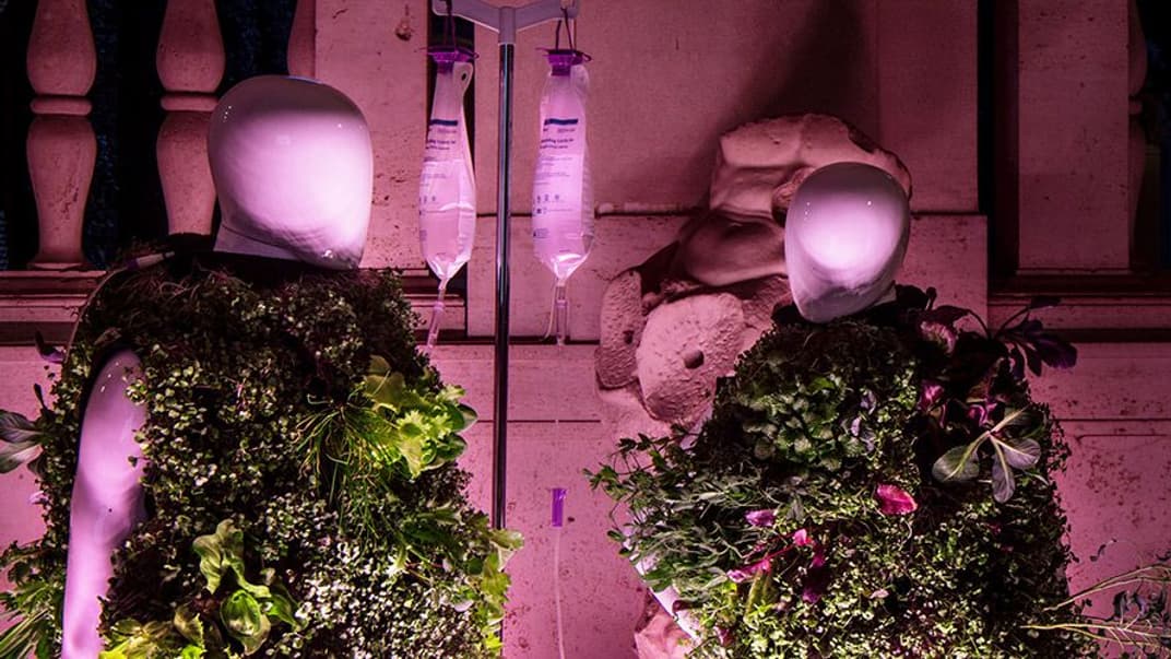 Жилети з рослин проєкту Posthuman Habitats, які предсавили в Пекіні