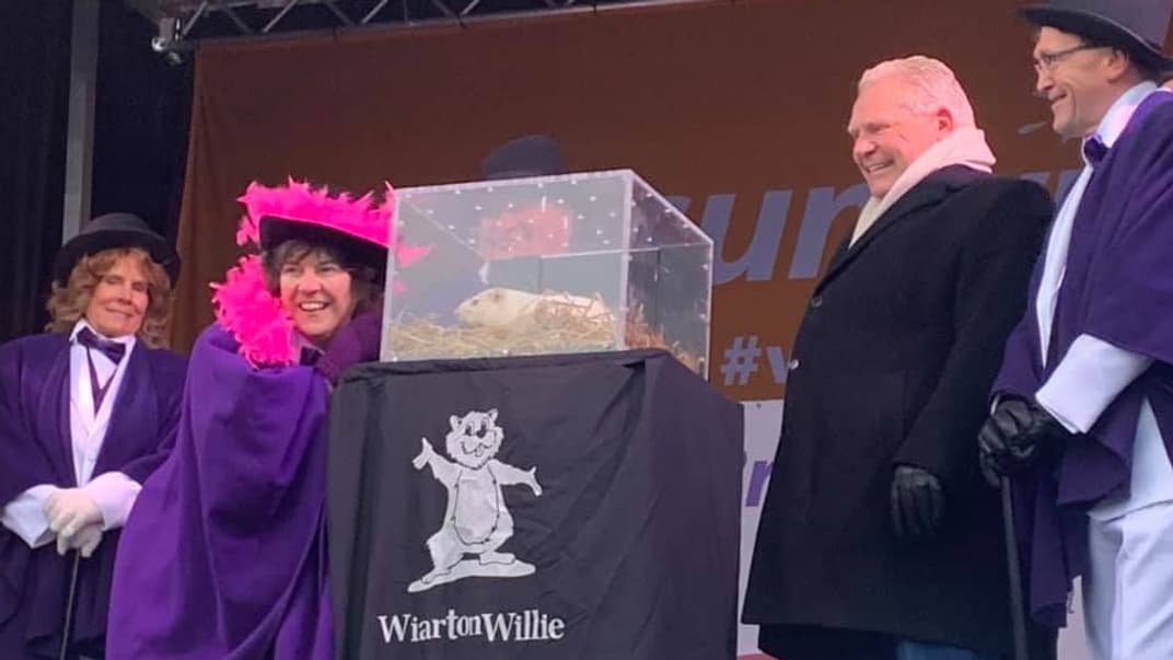 Бабак Вилли на фестивале Виартона Вилли