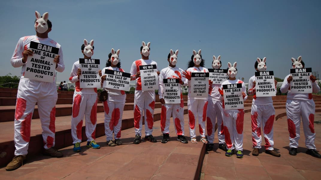 Индийские активисты из организации «Этическое обращение с животными», одетые в костюмы кроликов, во время акции протеста в Нью-Дели с требованием запретить продажу косметики, которую испытывают на животных, Индия, 18 апреля 2014 года