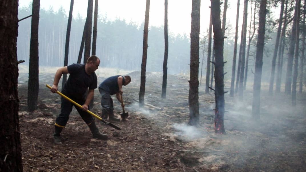 Рятувальники та місцеві жителі намагаються ліквідувати пожежу в лісі в Новоайдарському районі Луганської області, 7 липня 2020 року