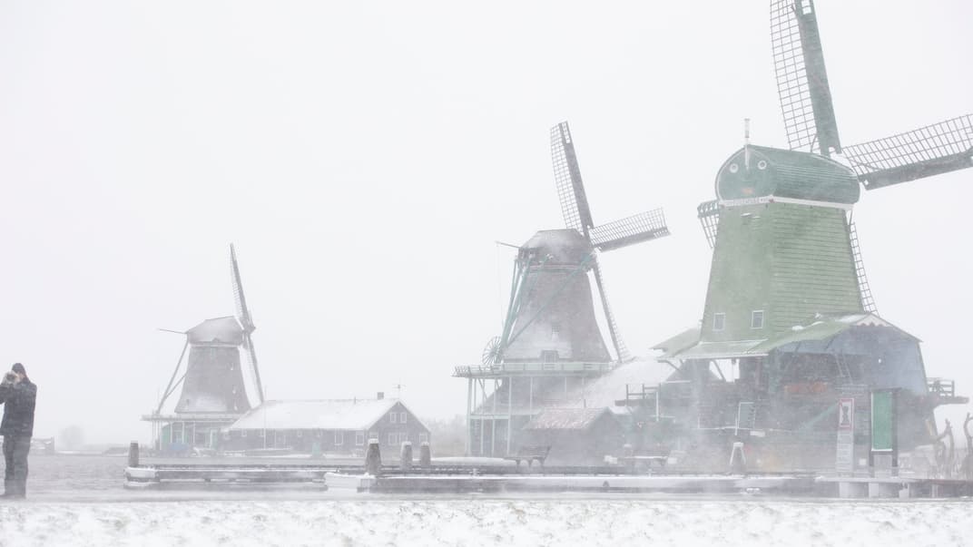 Зандам, Нидерланды, 7 февраля 2021 года