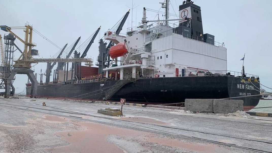 Ілюстративне фото. Балкер New Faith в порту України, 16 січня 2023 року