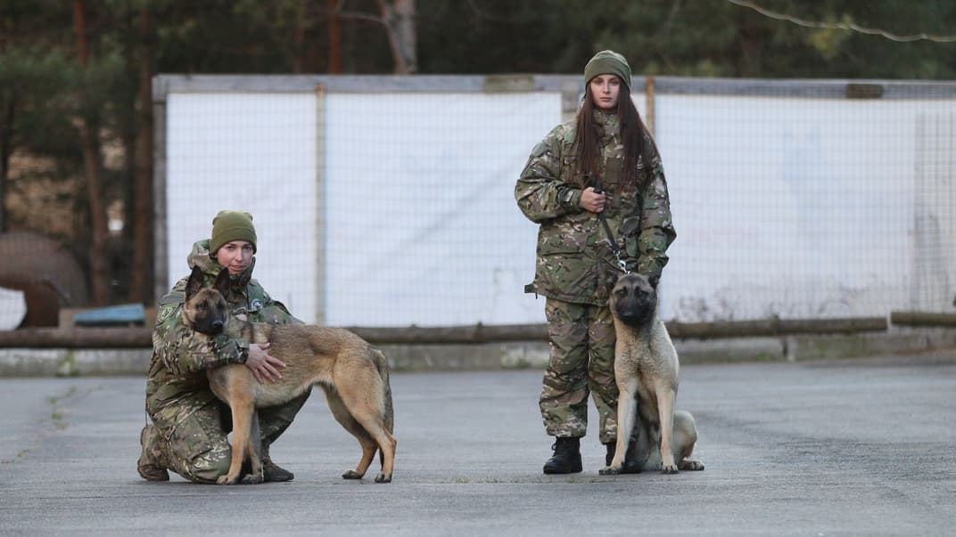 Собаки-сапери, яких передали поліції Київщини, 31 березня 2023 року