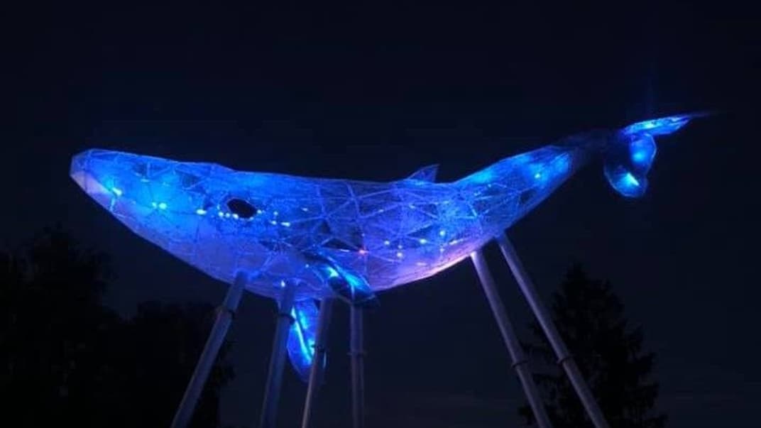 «Київський кит»