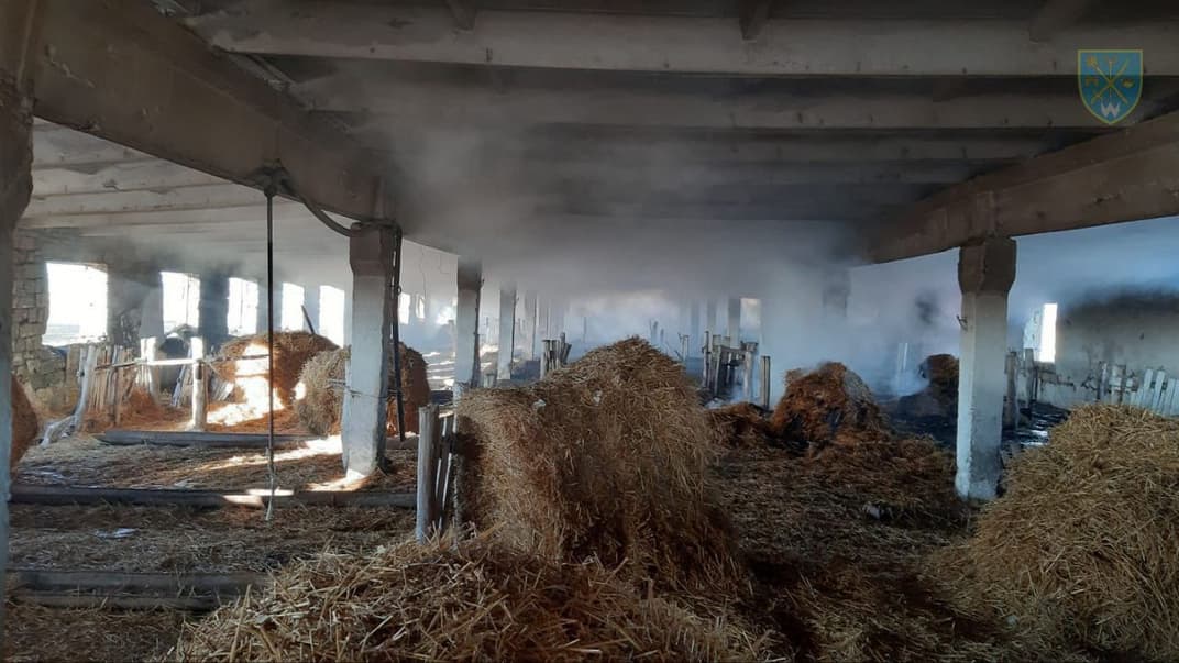 росіяни поцілили «оніксами» по агропідприємству на Одещині, 17 січня 2024 року