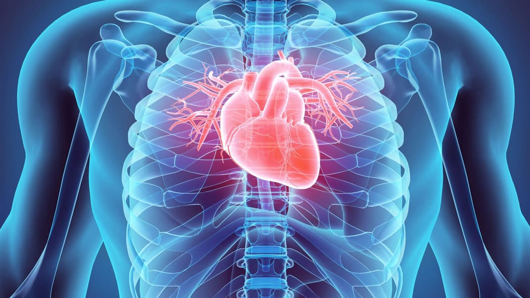 Иллюстративное изображение