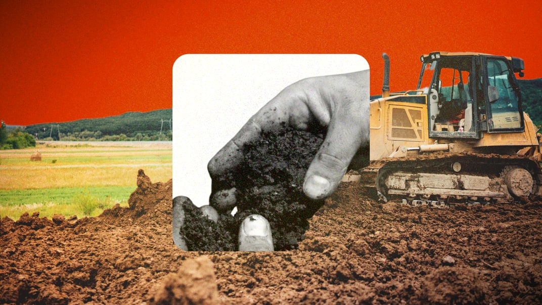 Ціни на українську землю зростають. Скільки коштуватиме гектар у 2025-му