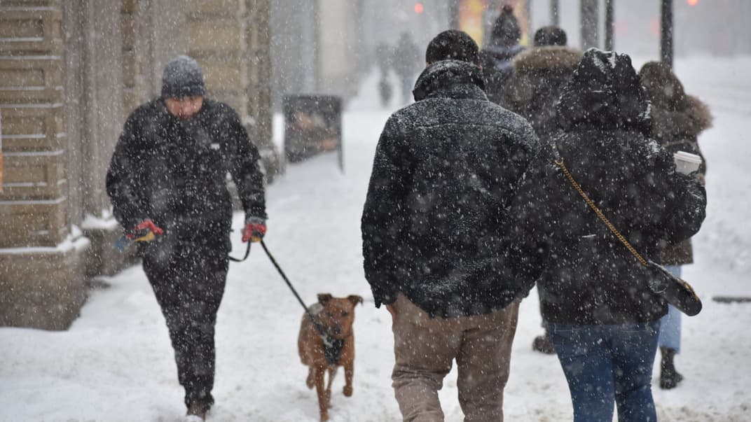 Украину накроет сильный мокрый снег и дождь. Школам в Киеве посоветовали работать в смешанном формате