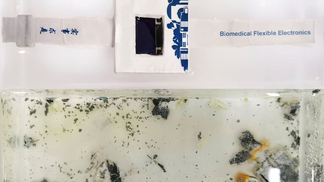 Часы, которые растворяются при попадании в воду