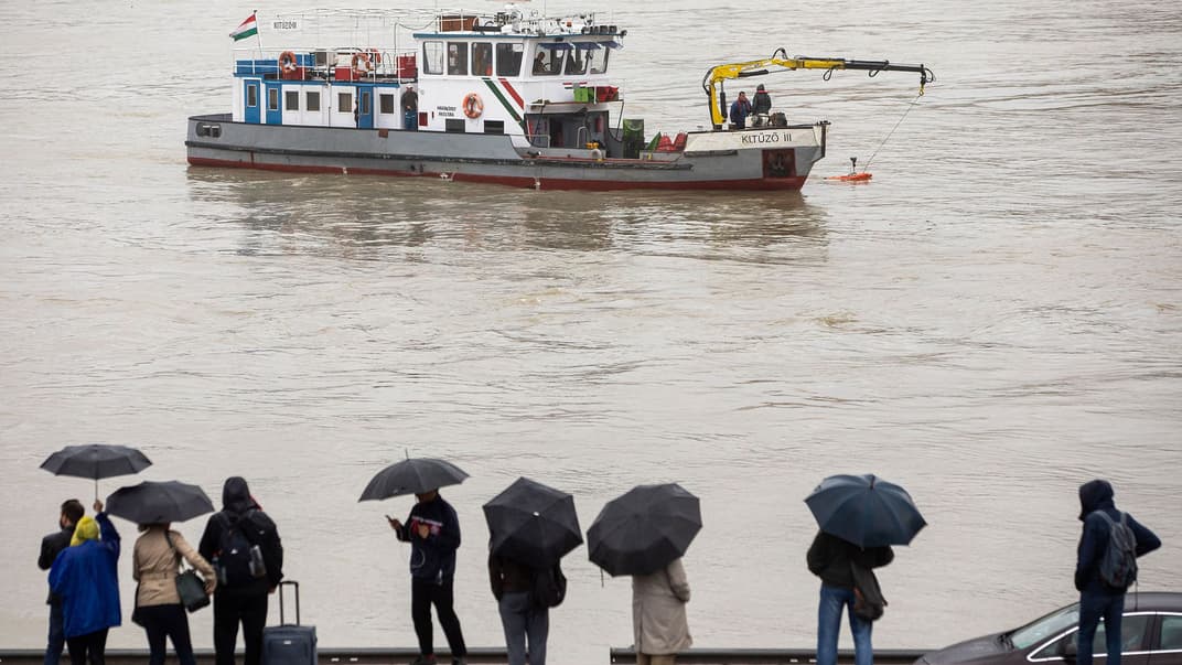 Люди спостерігають з мосту Маргіт за ходом пошукової операції на річці Дунай в Будапешті, Угорщина, 30 травня 2019. Напередодні там затонув прогулянковий катер із 35 пасажирами