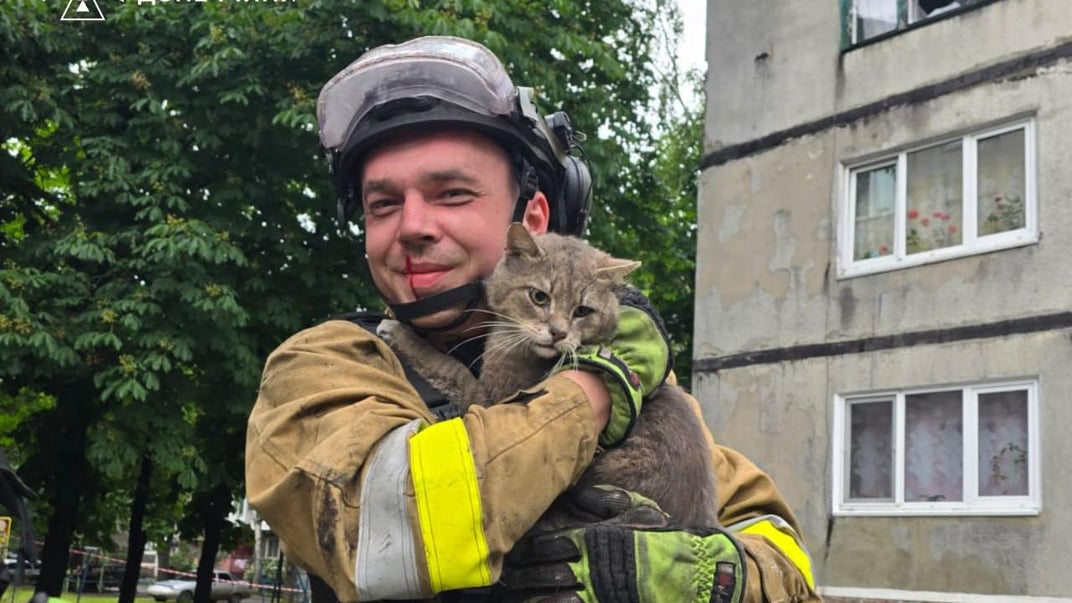 Пятувальник з котом