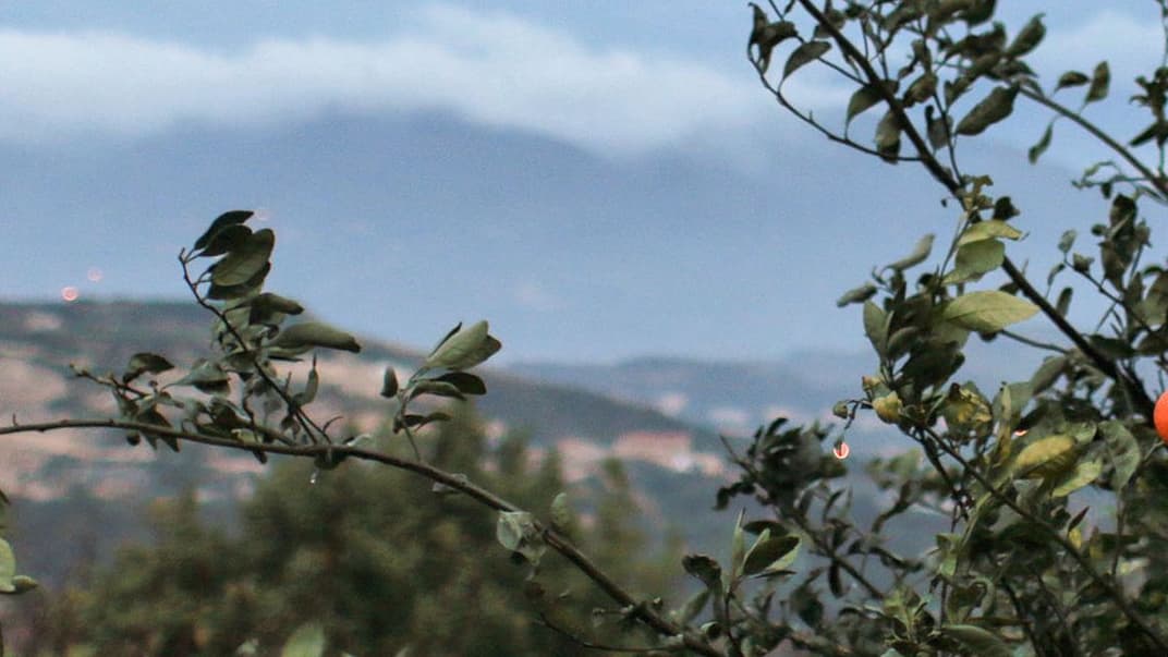Сто років дороги. Шлях вірменської родини з Османської Сирії до України