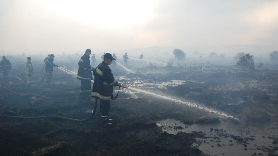 В Україні за добу виявили майже 200 пожеж, вогонь охопив понад 125 гектарів землі ㅡ надзвичайники