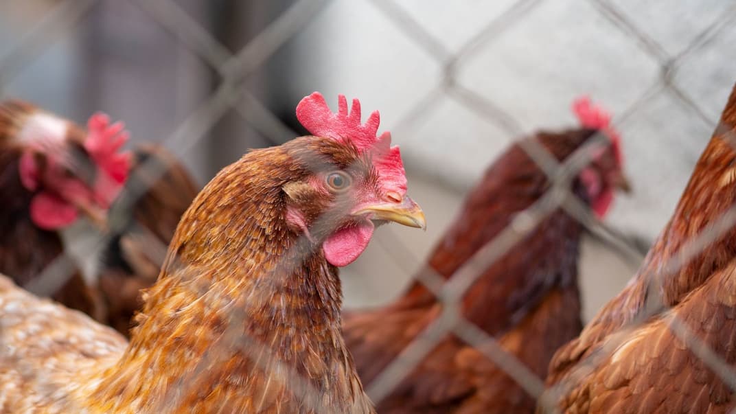 Иллюстративное фото.