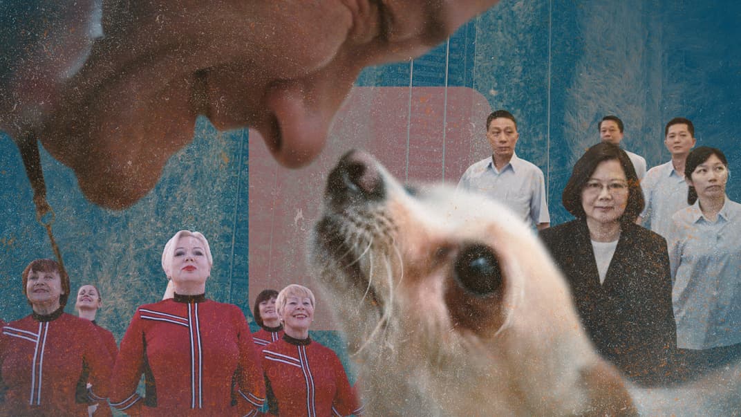 «10 років триденної війни, яка триває три сторіччя»: що дивитися на 21-му кінофестивалі Docudays UA