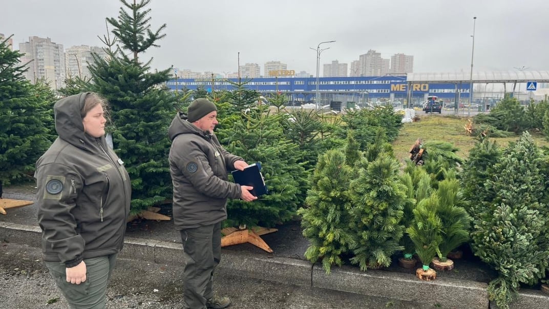 Держекоінспекція посилила контроль за реалізацією новорічних ялинок