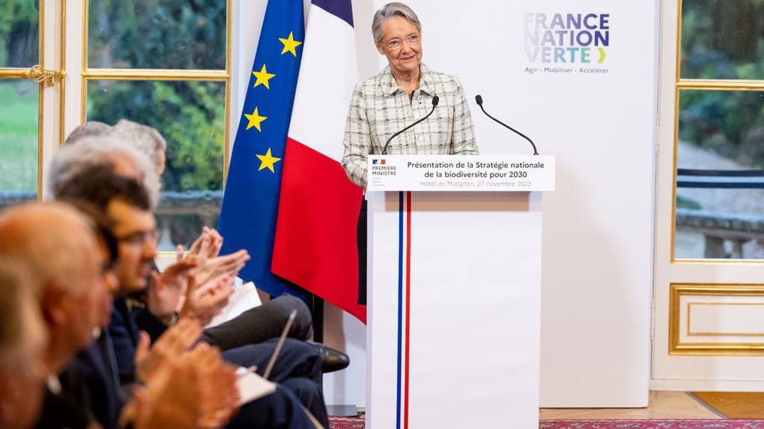 Елізабет Борн