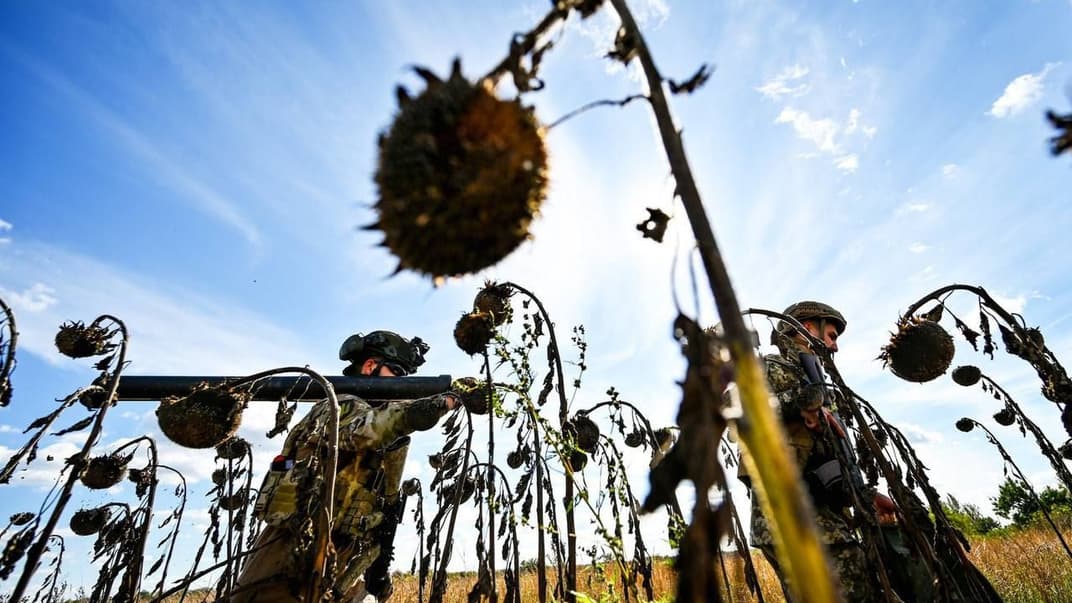 Українські військові на соняшниковому полі. Ілюстративне фото